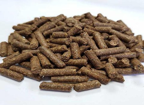 فروش کنسانتره دام و طیور + قیمت خرید به صرفه 2